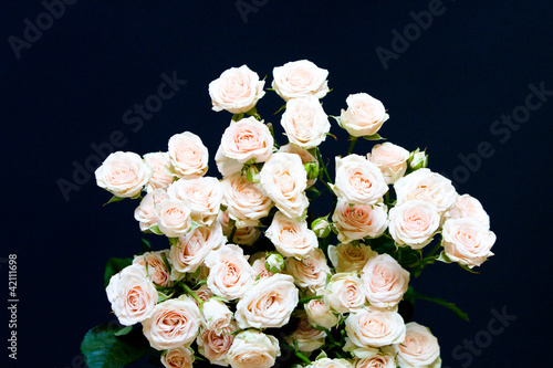 Bouquet of pink roses over black background photo