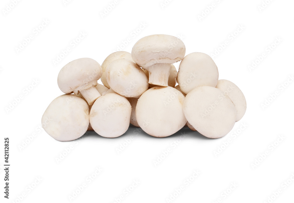 mushroom Isolated over white with clipping path