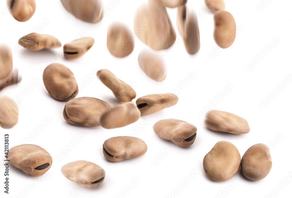 Flying bean. On white background Flying bean. On white background