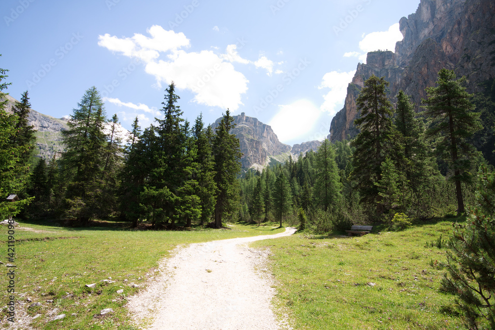 paesaggio in Vallunga (Val Gardena) paesaggio in Vallunga (Val Gardena)