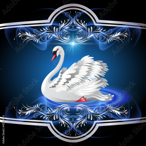 Elegant white swan