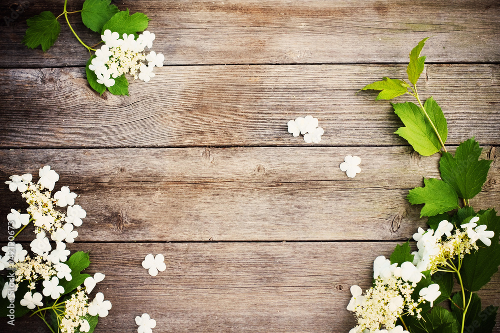spring flowers on wooden background spring flowers on wooden background