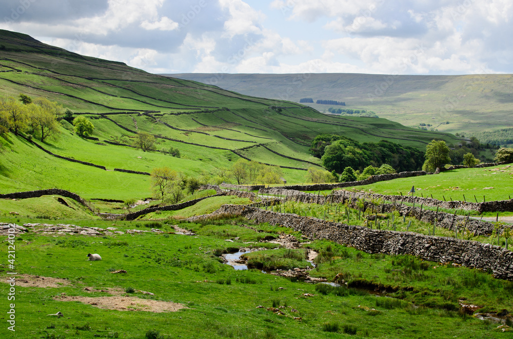 Obraz premium Yorkshire dales rugged landscape