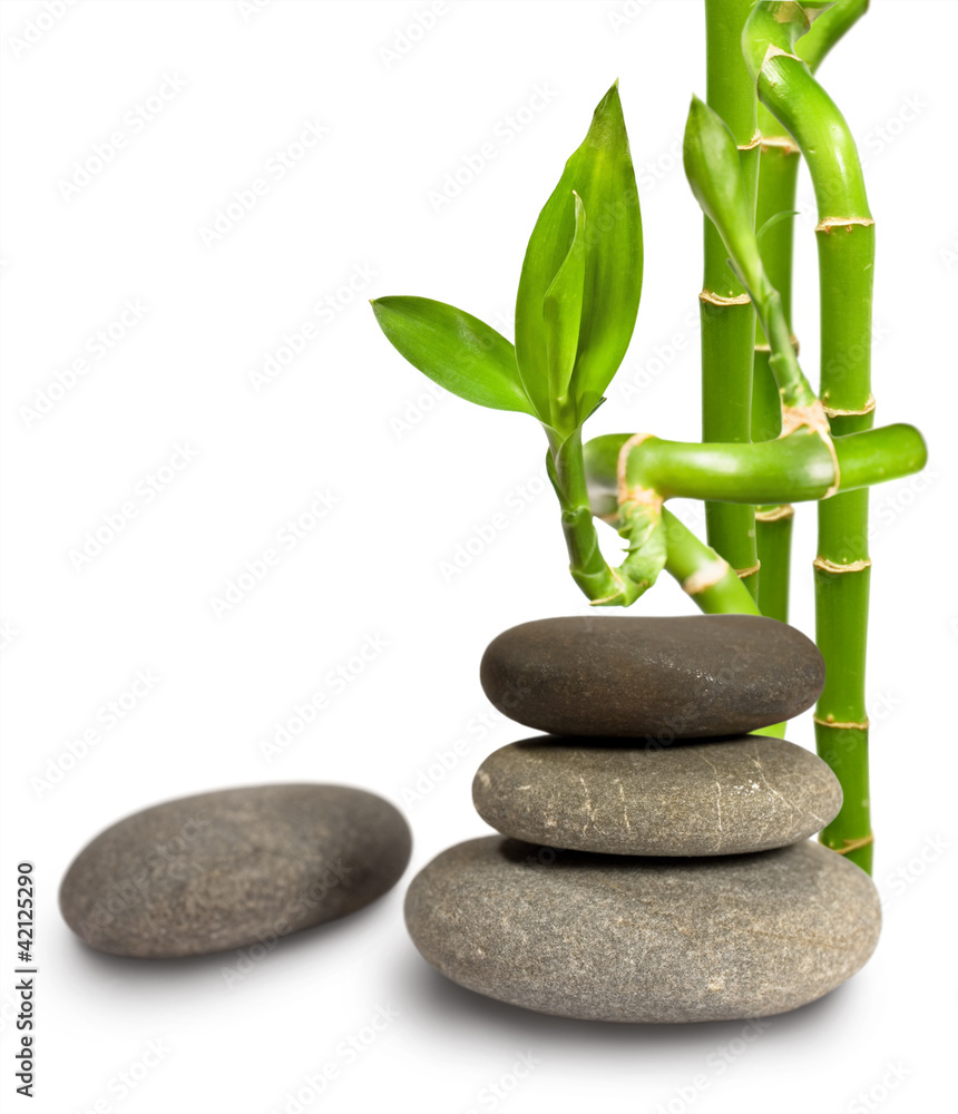 stones and bamboo stones and bamboo