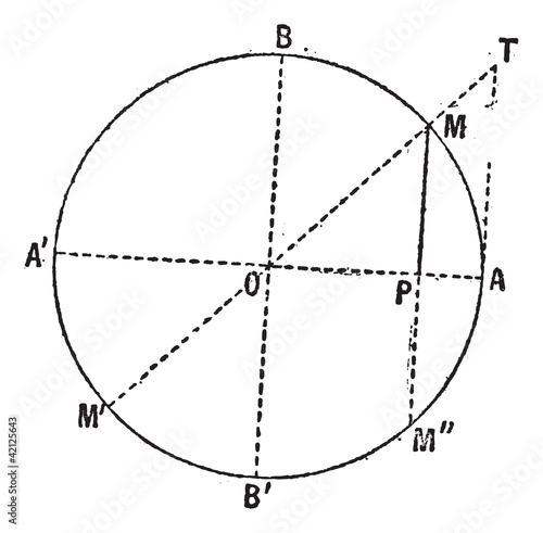 Sine function diagram (Mathematics) vintage engraving