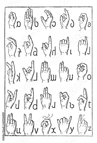 Alphabet of deaf-mutes, vintage engraving.