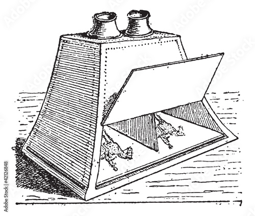 Stereoscope, vintage engraving.