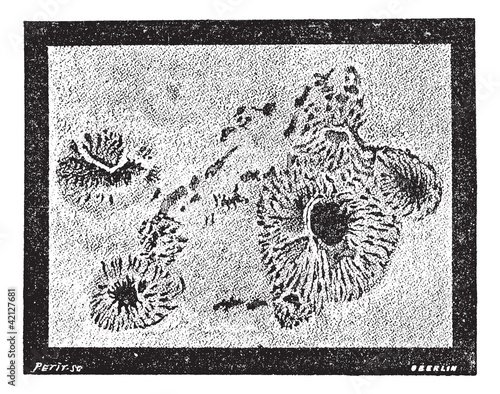Sunspots vintage engraving