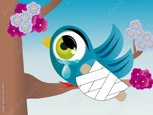 Oiseau fracture