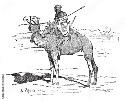 Tuareg, tribe of the Sahara, vintage engraving.