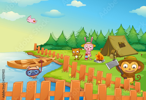 Camping