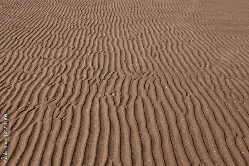 Sea sand surface