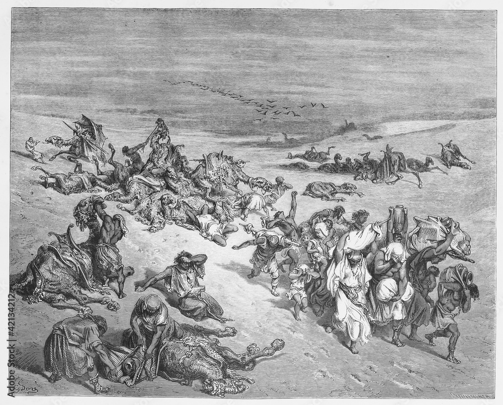 Φωτογραφία The Fifth Plague