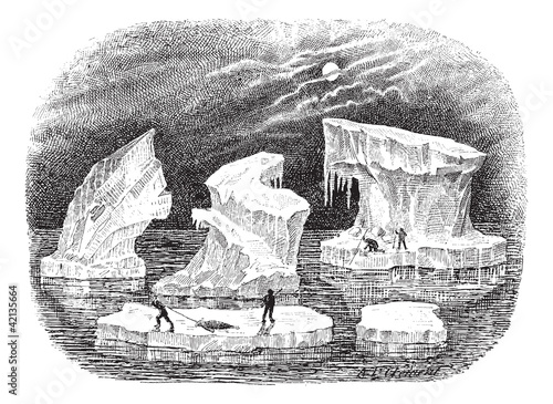 Icebergs, vintage engraving.