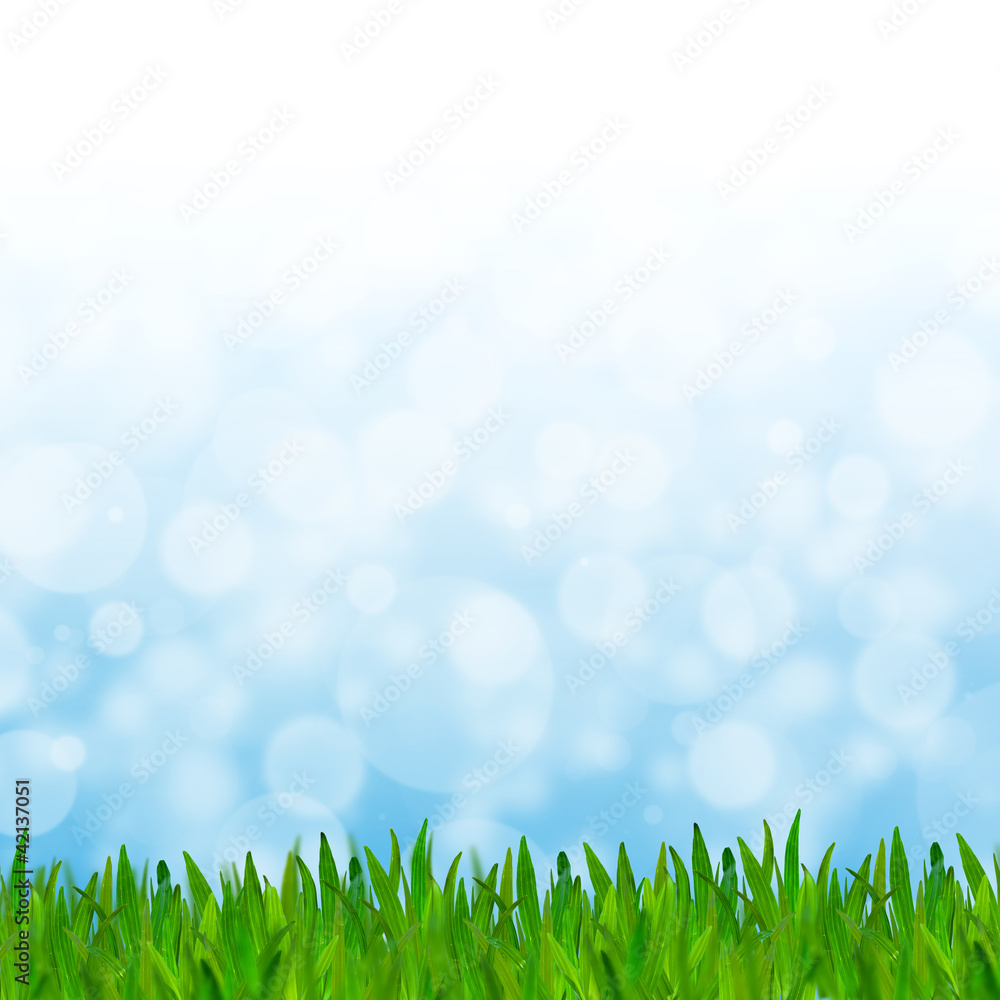 Abstract blue tone bokeh background with green grass.