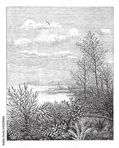 Jurassic Period, vintage engraving