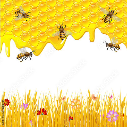 Floral background with honey and bees