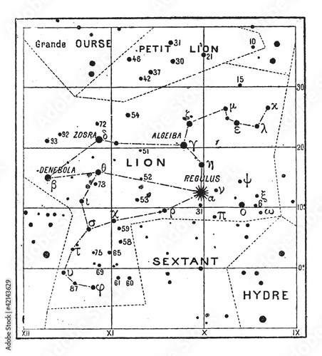 Leo Constellation, vintage engraving