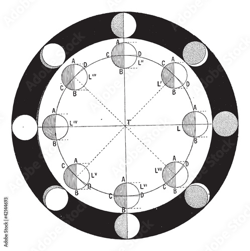 Phases of the moon or lunar phase, vintage engraving.