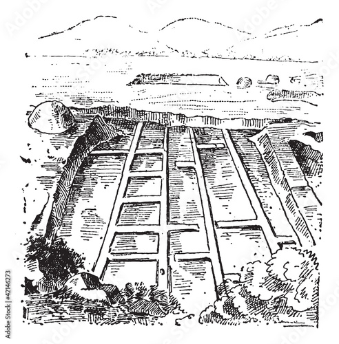 Saltmarshes, vintage engraving