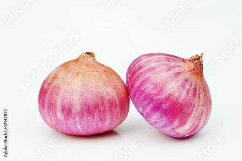 Onion pink isolated on white background