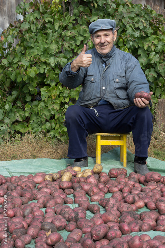 An elderly man with a crop of potatoes photo