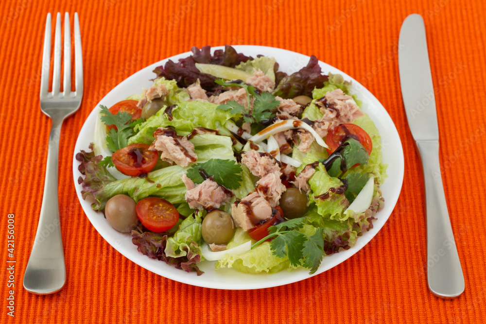 salad with tuna on the white plate salad with tuna on the white plate