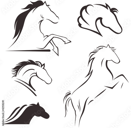 Silhouette black horse