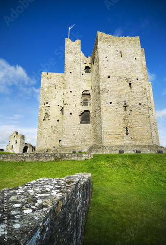 Trim Castle