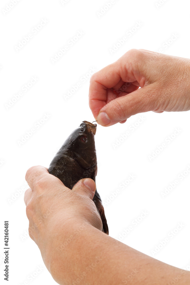 Obraz premium Shooting fish with a hook