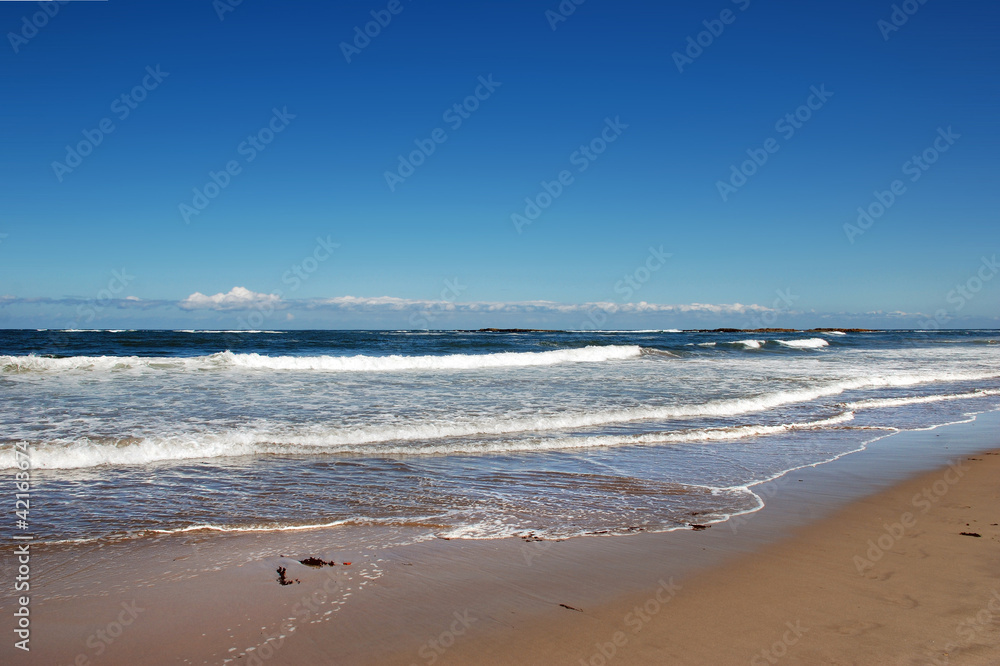 Coastal view in Northumberland