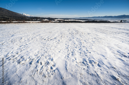 Winter meadows © Jukov