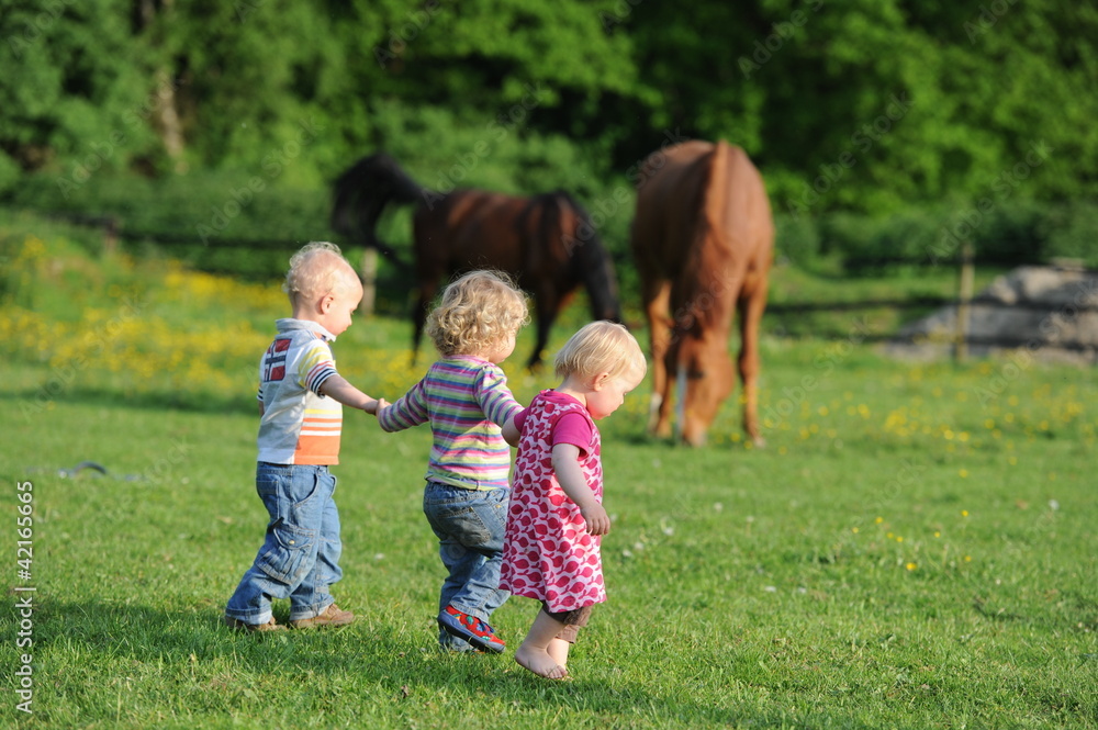 Fototapeta premium Ferien auf dem Bauernhof