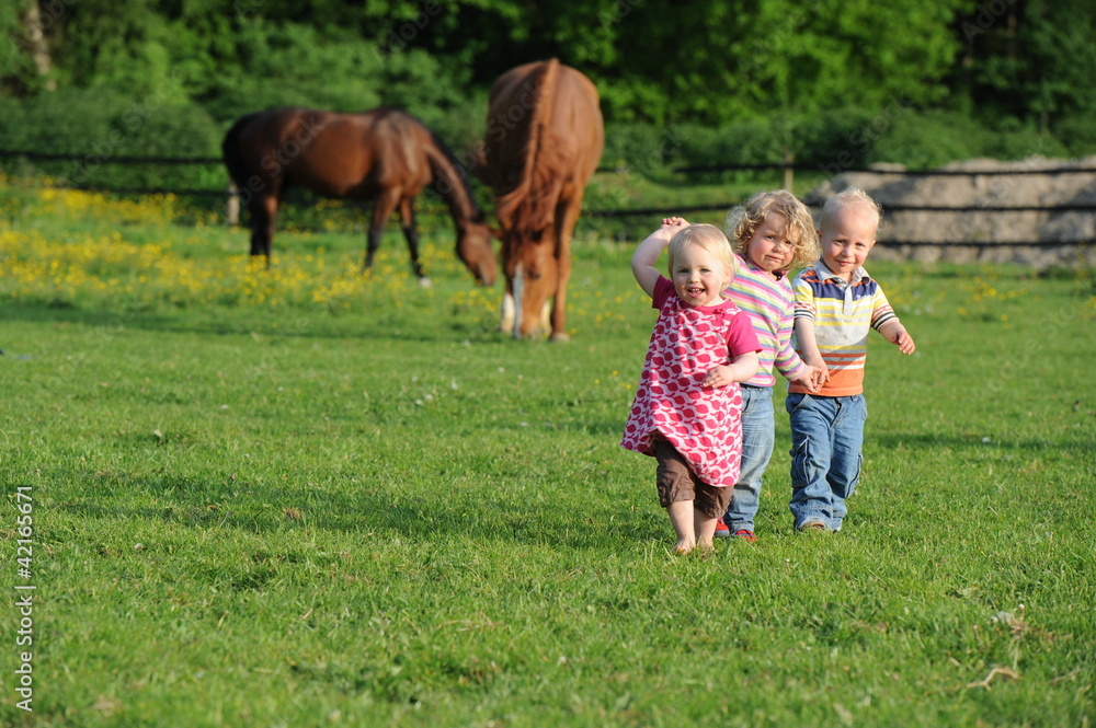 Obraz premium Ferien auf dem Bauernhof