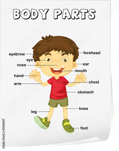 Vocabulary worksheet