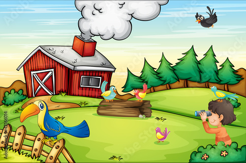 Farm scene
