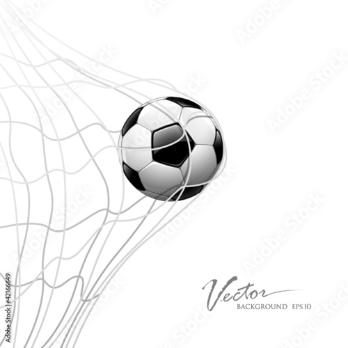 Soccer ball in net. isolated on white background, vector #42166649