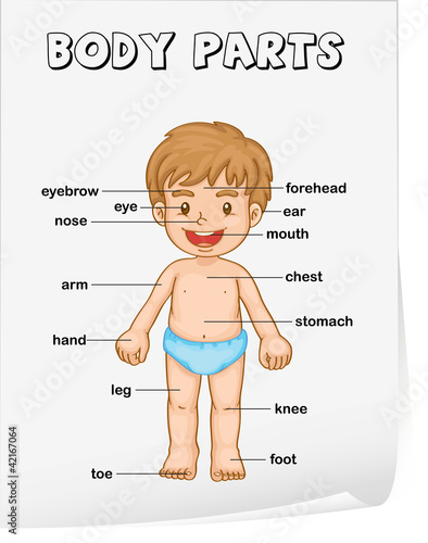 Vocabulary worksheet