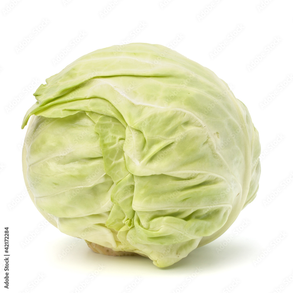 head of cabbage head of cabbage