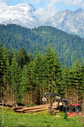 Papier peint Abatteuse dans les Alpes