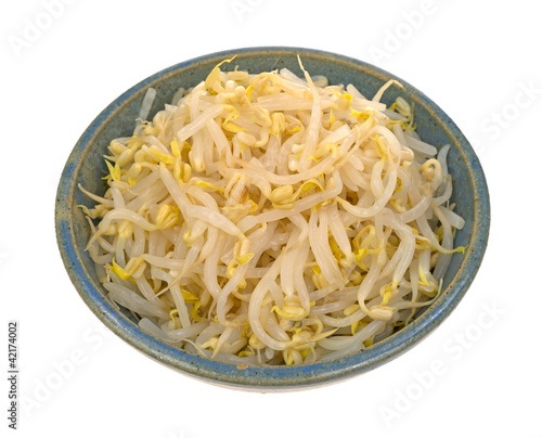 Bean sprouts in bowl