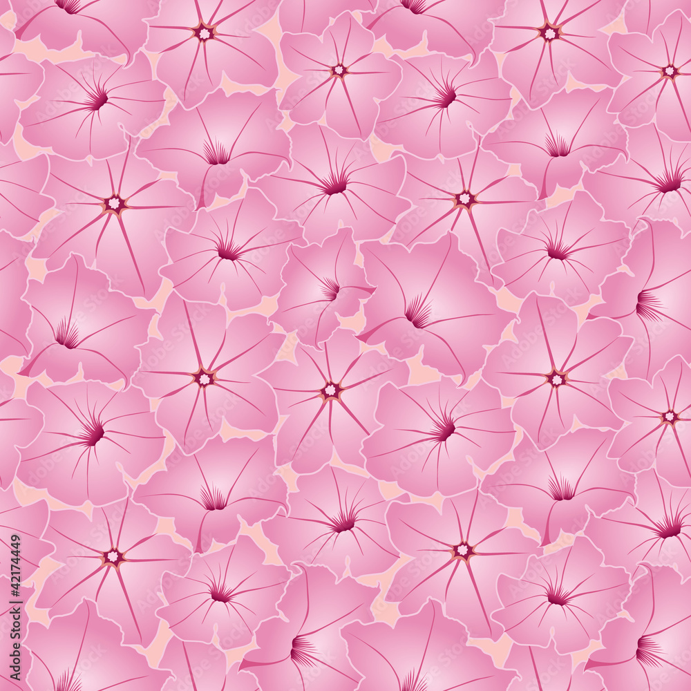 бесшовный фон из розовых цветов петунии, Print