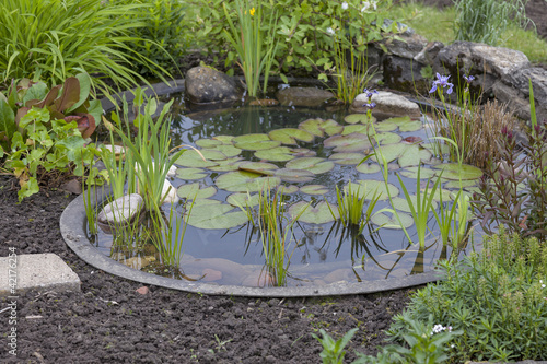 Photography garden decoration in a cottage garden, pond with water-lily