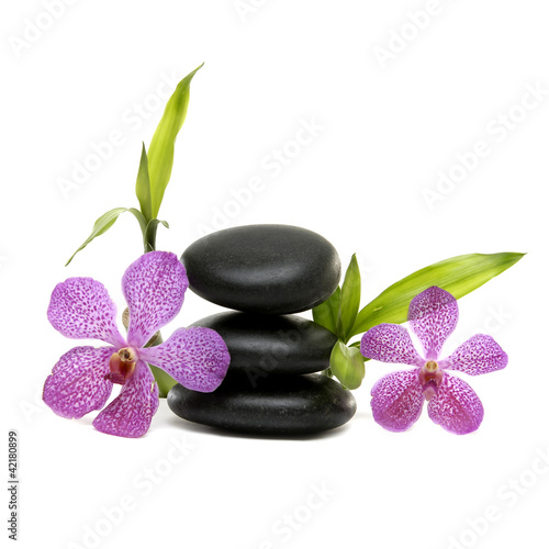 Beautiful orchid flower and balanced stones