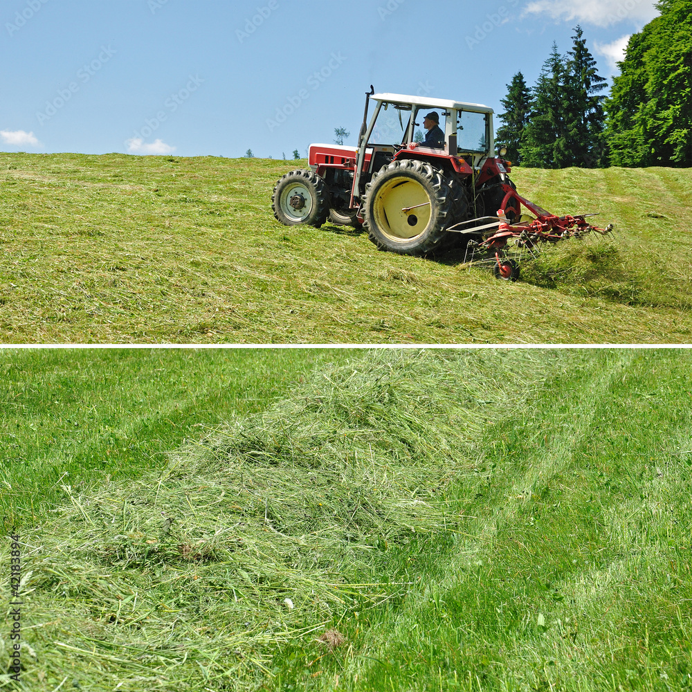 Obraz premium heuernte