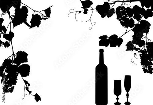 bottle and glass under vine