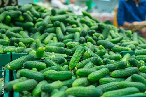 Variety of small cucumbers in boxes in supermarket