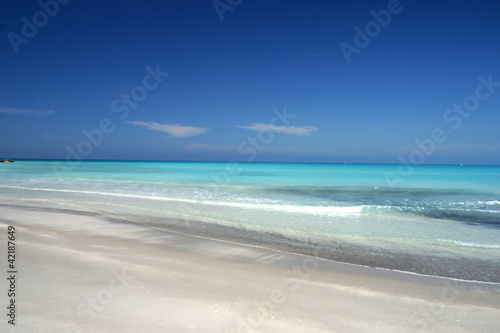 spiagge bianche, toscana © federico neri