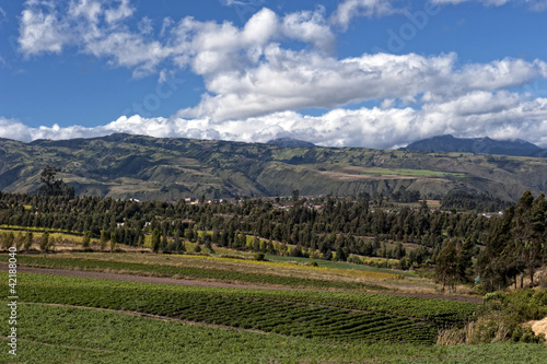 Agriculture in the Andean highlands