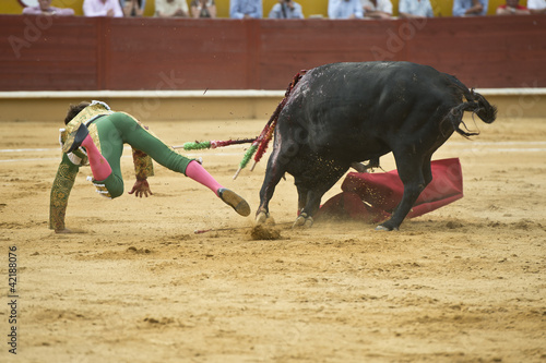 Torero lanzado por el aire tras una cogida del toro.